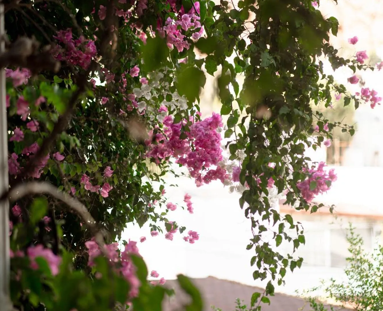 Mare Garden Hotel Akyarlar